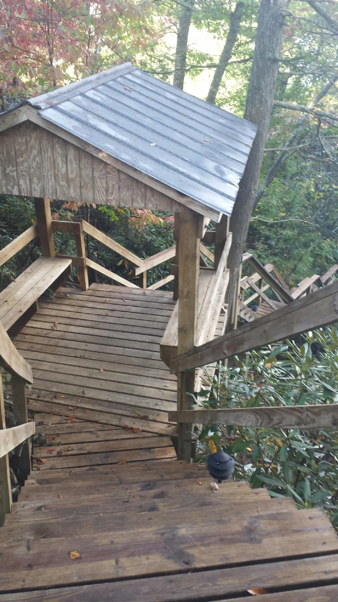 Metal roofed shelter over wooden steps on a wooded walkway — Skylight Repair & Installation work by our crew in Cedar Key