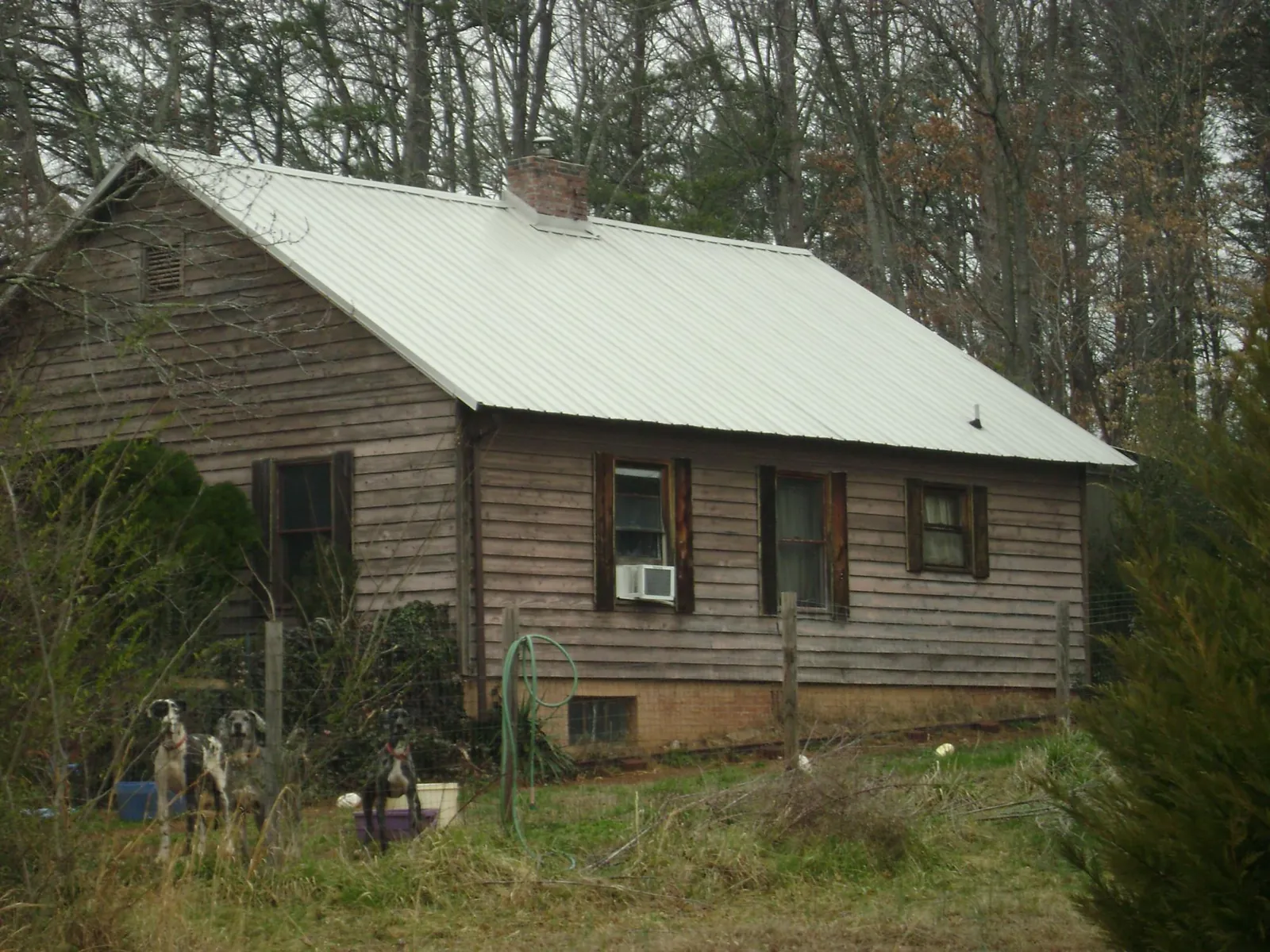 White metal roof on an old wood sided farmhouse, from a Asphalt Shingle Roof Repair job in Cedar Key